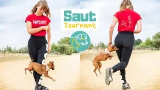 Methode SIMPLE pour apprendre au chien a sauter en tournant autour de l’humain
