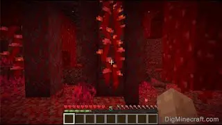 my luckiest failed run yet (1:06 enter vine seed) almost top 3 hardcore