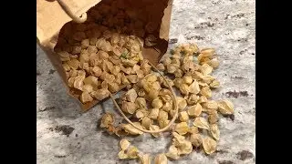Easiest Way to Save Seeds For Ground Cherries & Tomatoes