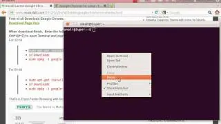 Install latest Google Chrome on Ubuntu12.10/Ubuntu 12.04 Precise/Ubuntu 11.10/Linux Mint