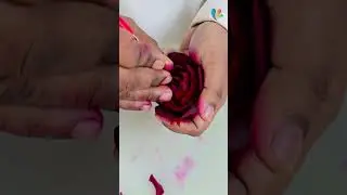 শিখে নিন বাসায় বসে বিট দিয়ে কিভাবে কার্ভিং করবেন 🧑&zwj;🍳🔥