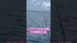 地磯でアラ釣り#fourxone #fishing #釣り #クエ #アラ