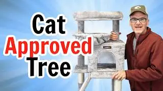 Is the Feandrea Cat Tree Worth It? Full Review!