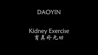 Daoyin Kidney Exercise - 育真补元功