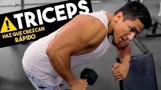 HACES DE TODO PERO TUS TRICEPS NO CRECEN [La solución]