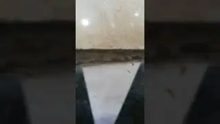 #goodliving#pestcontrol#delhi