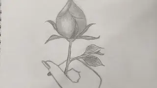Rose Bud with hand #  closed #  by Triangle shape