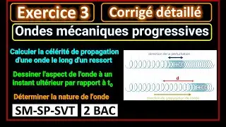 Ex3: Ondes mécaniques progressives (propagation d'une onde le long d'un ressort) || 2BAC BIOF
