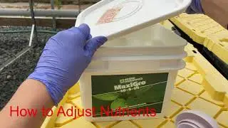 Hydroponic Water Quality Testing