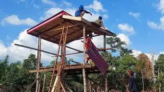 install the ceiling and roof of the new Ume garden hut