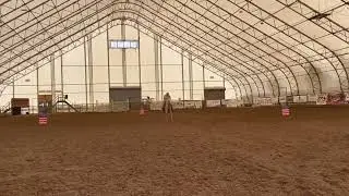 I Aint High Yet - 2022 Gelding by ASNY