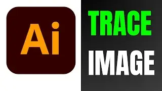 How to Trace Image in Illustrator CC (2026)