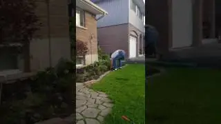 husband antics
