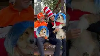 Corgi Family Halloween Photoshoot - Behind the Scenes