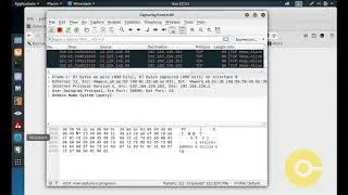 Compare https and http using WireShark