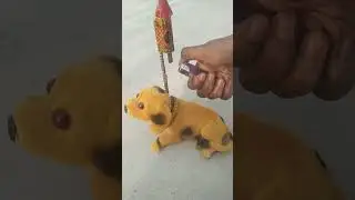 RC wow spring dog beautiful toy testing
