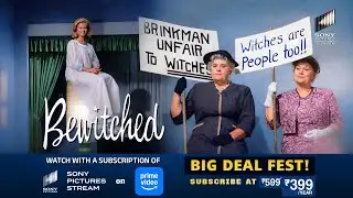 Samantha Leads a Protest & Darrin Gets an Admirer | Bewitched