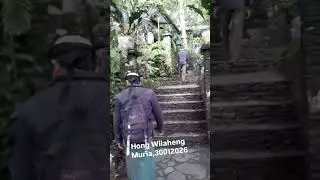 Mlipir  nk Muria #hong_wilaheng #muria #rejenu #30022026
