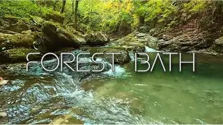 🌿 Forest Bath | Peaceful Waterfall Ambience &  Oriental Music To Cleanse Your Soul ⛩️