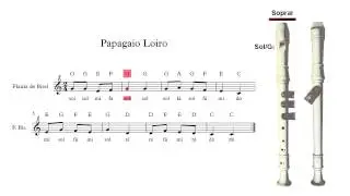 Flauta de Bisel (ou flauta doce) - Papagaio Loiro