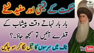 Natural Remedy for Urine Drops Problem |Mustard Oil inNavel Benefits |Herbal Tips |Thevoiceknowledge
