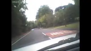 New Forest Travels 1