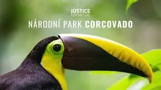 Corcovado National Park - Costa Rica