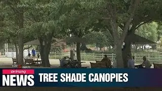 Seoul City to erect 400 tree shade canopies by 2022