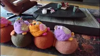 Fun Misfitten Stop Motion 
