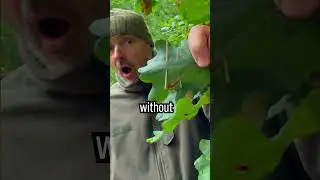 Если вы видите этот знак, БЕГИТЕ ради выживания #навыкивыживания