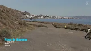 PLAYA DE MACENAS, EL PEQUEÑO MUSEO NATURAL