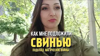 Как мне подложили свинью. Первый подклад в моей жизни. Что делать и как реагировать?