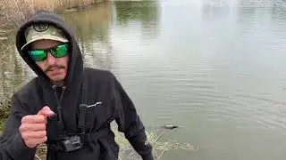 DANGLIN A JERKBAIT In The WIND!! NEW FAVOURITE BAIT?! (GOOGAN SCOUT)
