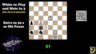 Computer-Generated Chess Problem 04160
