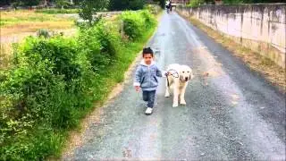 Video paseo perfecto