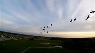 Speed Addict 210-r FPV