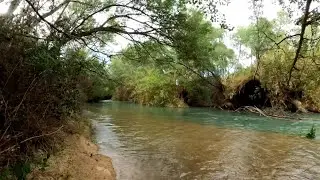 No imaginaba encontrar esto en Murcia • El Bosque de Ribera de Cañaverosa • LOS TESOROS DE MURCIA #8
