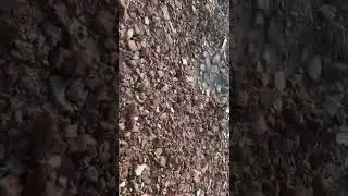 What is brick chips and what are they use for ?