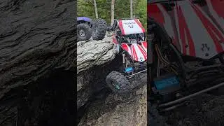 Axial Gilamon 🦎  Squonch pro 😁 #rc #maine