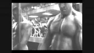 Universal Nutrition - Animal Pump