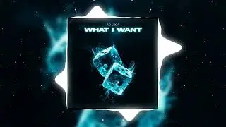 Ad Voca - What I Want