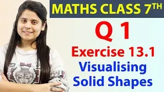 Q 1, Ex 13.1, Visualising Solid Shapes - Chapter 13, Maths Class 7th - NCERT, CBSE