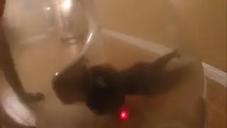 BUBBLE BOY