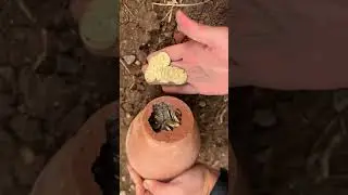 Я нашел клад с 3D металлоискателем