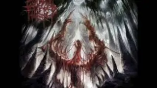 Human Filleted - Forcefucked
