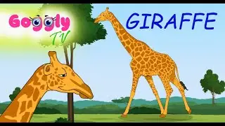 Giraffe Fun Facts for preschool kids | Animal series |Education and Entertainment |Cartoon Animation