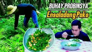 Province Life Philippines | Picking Fiddlehead Ferns/Pako Turns To Salad Fern Recipe | Jes Pinoy