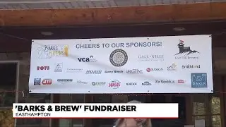 Dakin Humane Society hosts Barks and Brews fundraiser
