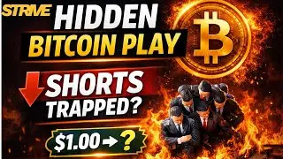 Strive (ASST) Stock Explained: The Hidden Bitcoin Treasury Play Shorts Are Fighting