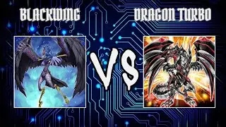 Res(Blackwing) vs Lollo(Dragon Turbo) | Yugioh Edison Format | Dueling Book